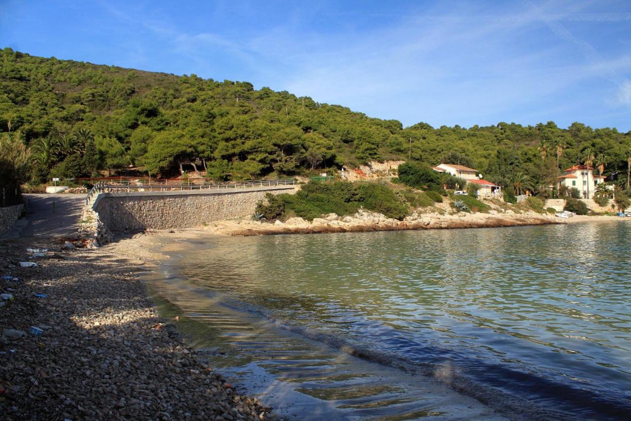 Apartments By The Sea Milna, Vis - 8895 Rukavac  Exterior photo